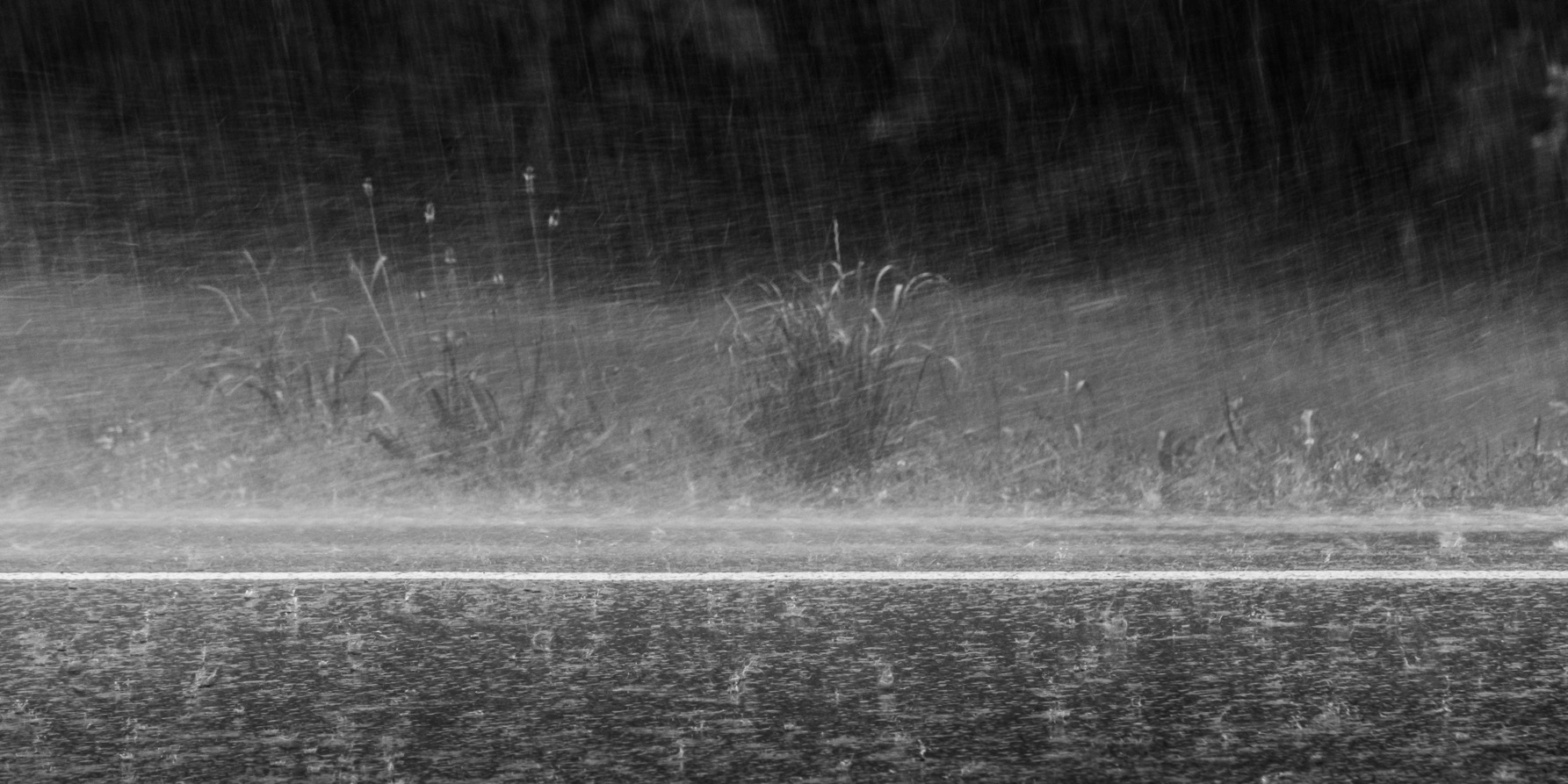 HEAVY SUMMER RAIN ￼gallery